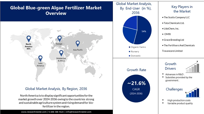 Blue-green Algae (BGA) Fertilizer Market Overview